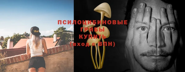 скорость Лагань