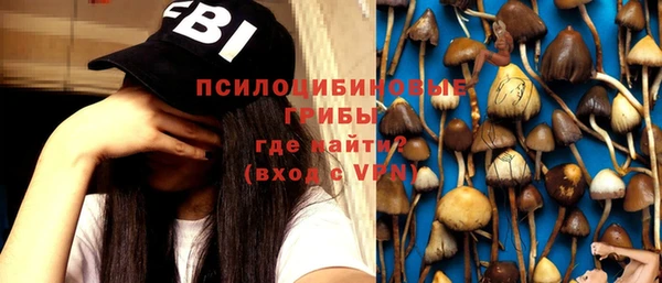 прущая мука Ладушкин